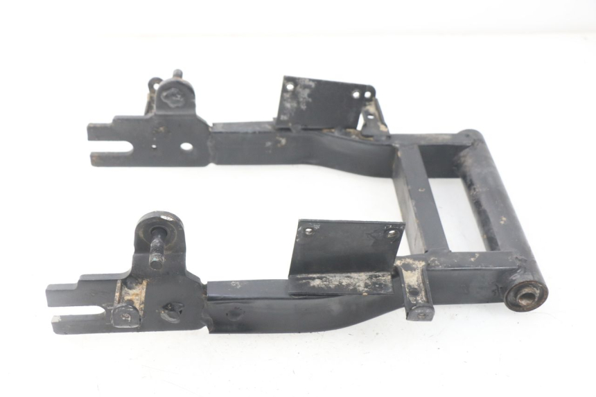 photo de SCHWINGE RED ELECTRIC RED E PRO 1 (2017 - 2019) - Alternative Perspektive