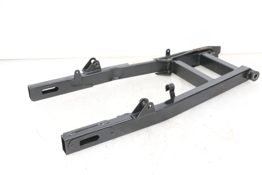 photo de SCHWINGE REGAL RAPTOR RAXTER 2 125 (2007 - 2015) - Alternative Perspektive