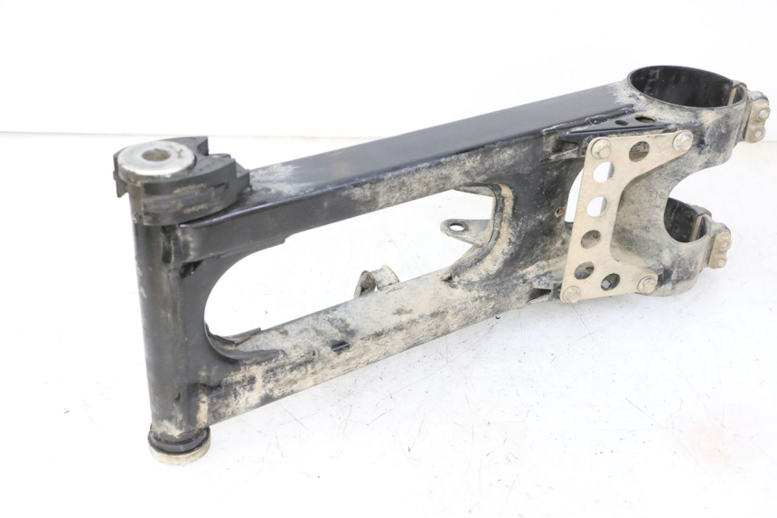 photo de SCHWINGE YAMAHA YFM R RAPTOR 250 (2008 - 2014) - Alternative Perspektive