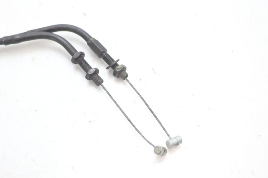 photo de GASZUG HONDA CB F HORNET 600 (2005 - 2006) - Alternative Perspektive