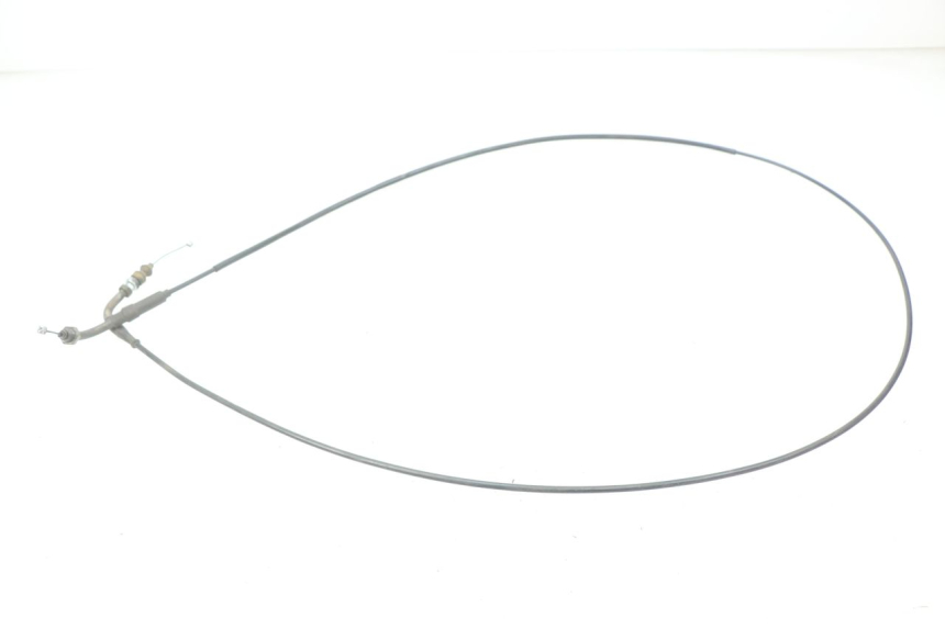 photo de GASZUG JM MOTORS MIA 50 (2017 - 2020) - Hauptansicht