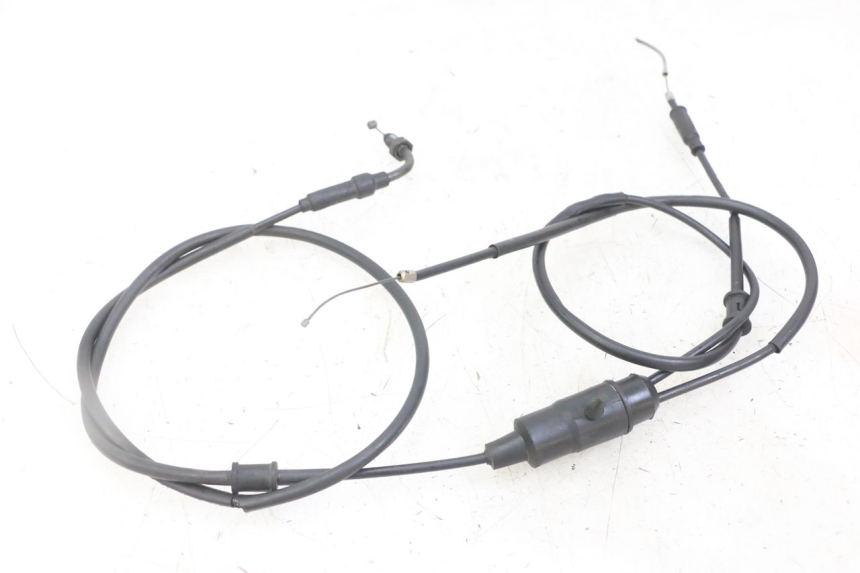 photo de GASZUG PIAGGIO NEW TYPHOON 50 (2018 - 2021) - Hauptansicht