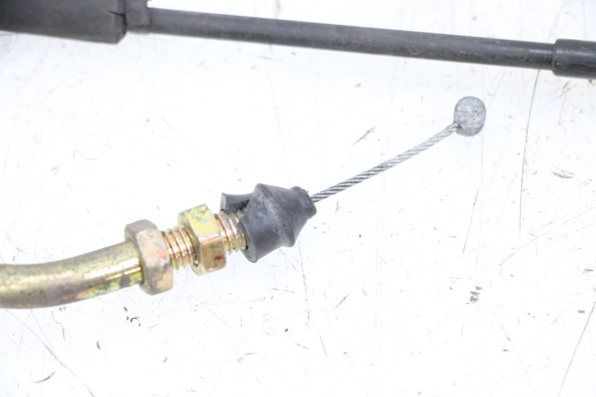 photo de GASZUG PEUGEOT TWEET 4T 50 (2014 - 2019) - Alternative Perspektive