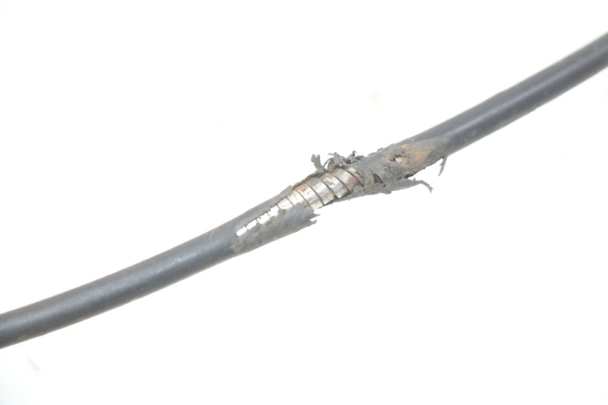 photo de GASZUG TNT MOTOR ROMA 10' 4T 50 (2019 - 2022) - Zoom auf Gebrauchszustand