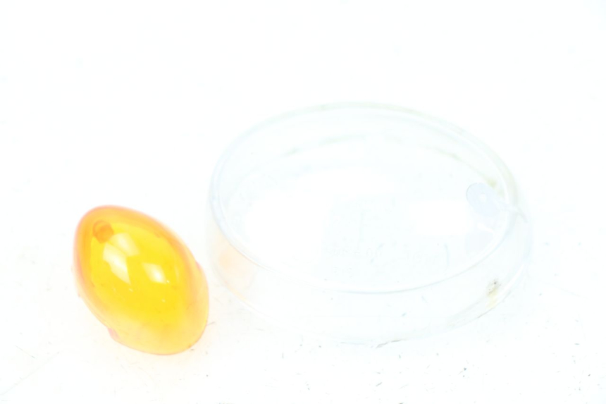 photo de HINTEN RECHTS BLINKERGLÄSER RIDE JUMP 2T 50 (2012 - 2017) - Zoom auf Gebrauchszustand