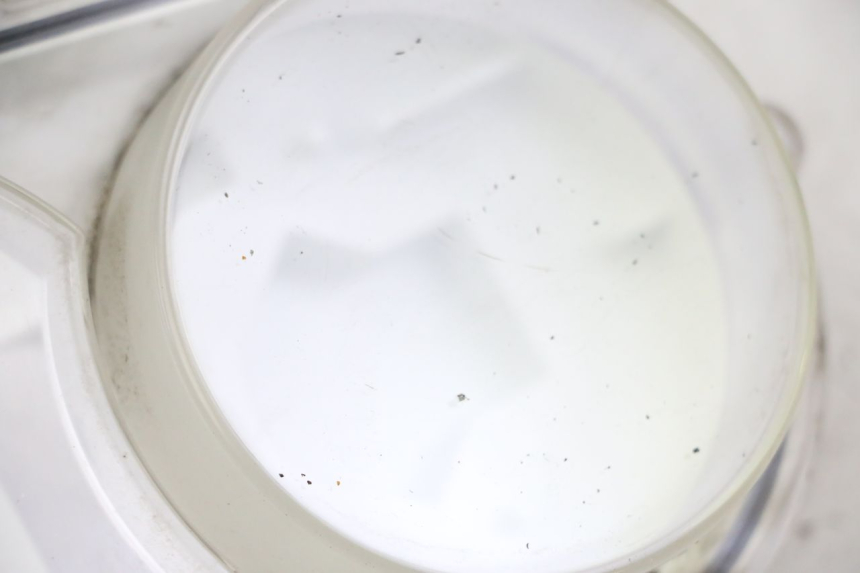 photo de TACHOMETER GLAS PEUGEOT SATELIS 250 (2006 - 2012) - Detailansicht des Bauteils