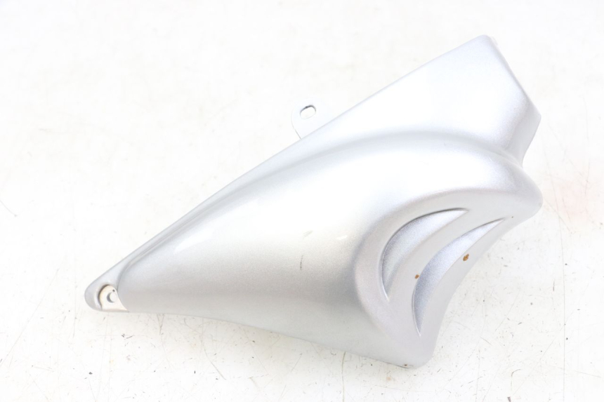 photo de Seitenverkleidung rechts am Rahmen HYOSUNG GF 125 (2001 - 2005) - Hauptansicht