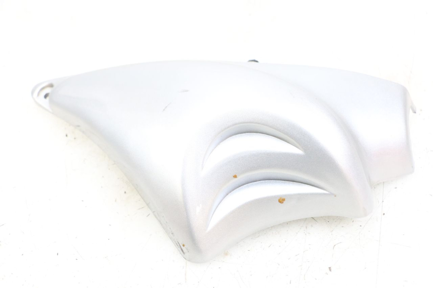 photo de Seitenverkleidung rechts am Rahmen HYOSUNG GF 125 (2001 - 2005) - Detailansicht des Bauteils