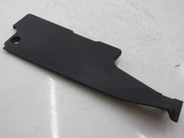 photo de RAHMENABDECKUNG RECHTS HONDA FES PANTHEON 125 (2003 - 2007) - Hauptansicht