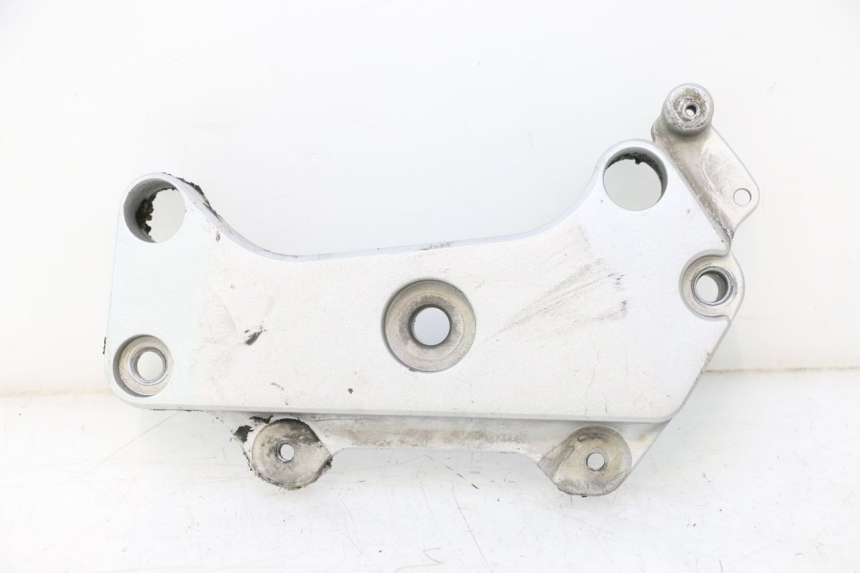 photo de RAHMENABDECKUNG LINKS HONDA CB F HORNET 600 (2005 - 2006) - Hauptansicht
