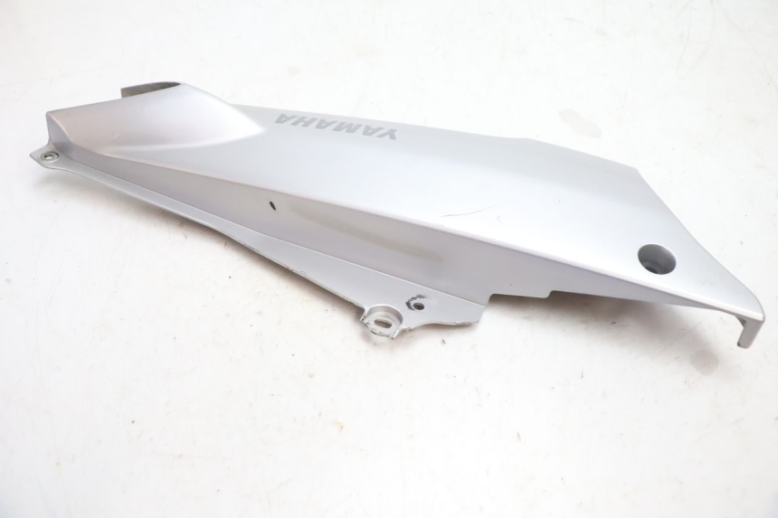 photo de RAHMENABDECKUNG LINKS YAMAHA FJR 1300 (2001 - 2005) - Gesamtansicht des Produkts
