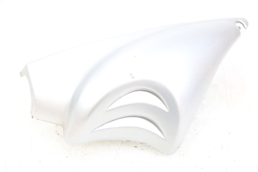 photo de RAHMENABDECKUNG LINKS HYOSUNG GF 125 (2001 - 2005) - Hauptansicht