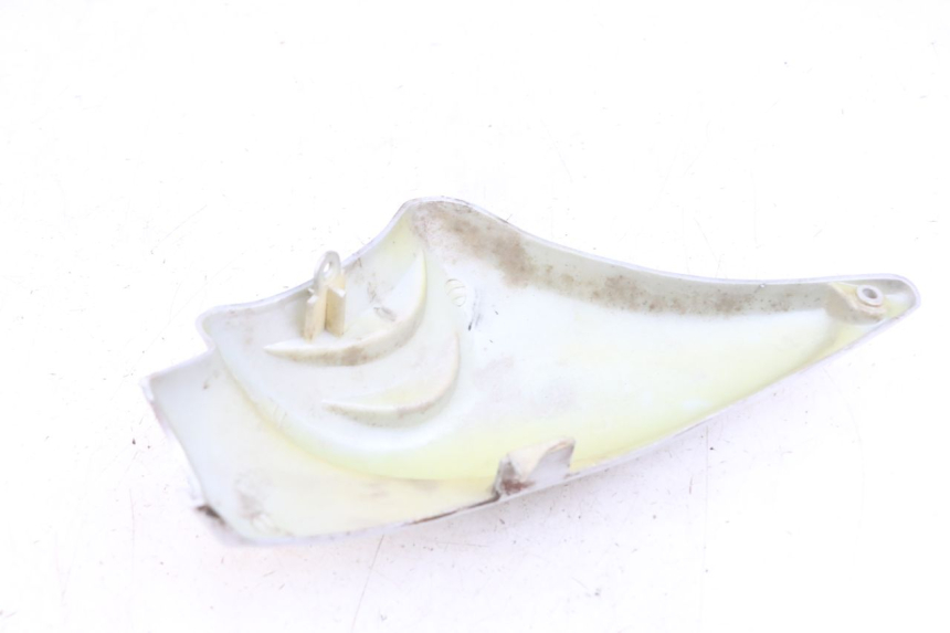 photo de RAHMENABDECKUNG LINKS HYOSUNG GF 125 (2001 - 2005) - Zoom auf Gebrauchszustand