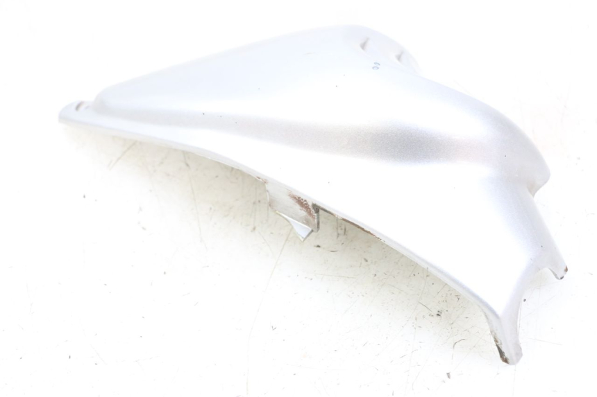 photo de RAHMENABDECKUNG LINKS HYOSUNG GF 125 (2001 - 2005) - Gesamtansicht des Produkts