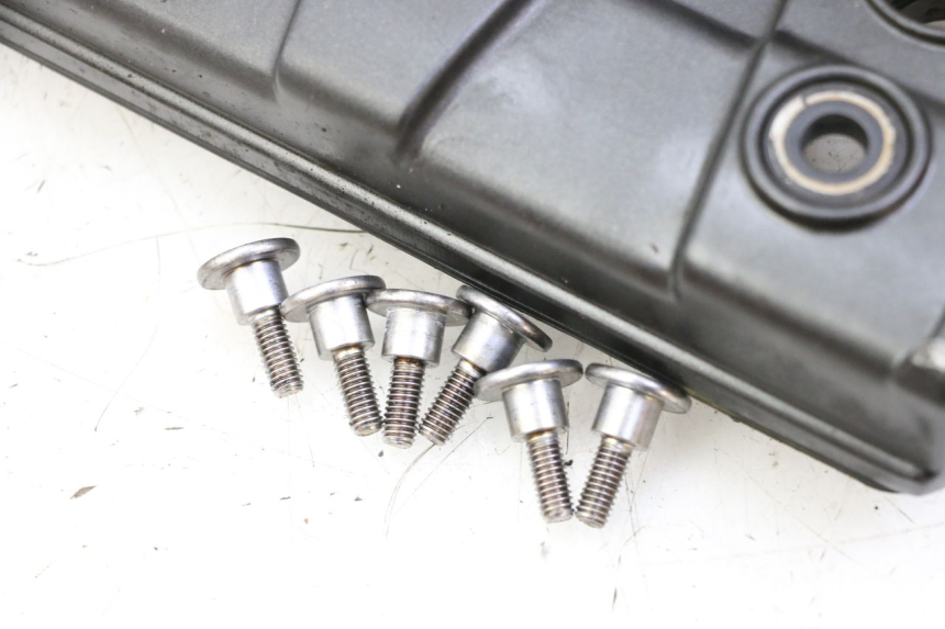 photo de VENTILDECKEL YAMAHA FZ6 FAZER S2 600 (2007 - 2011) - Oberflächenzustand und Material