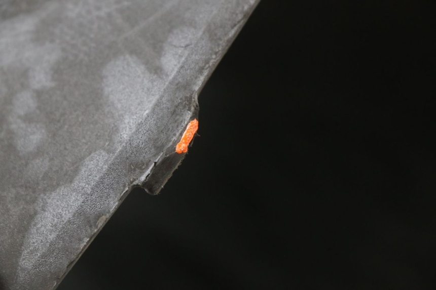 photo de UNTER SITZ VERKLEIDUNG KYMCO AGILITY CARRY 50 (2011 - 2020) - Details der Befestigungspunkte