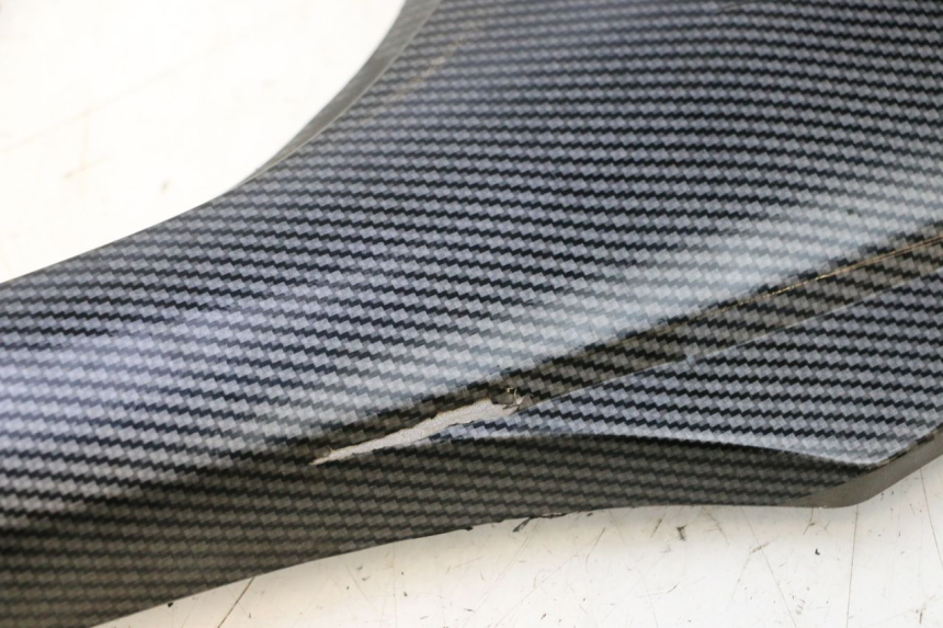 photo de UNTER SITZ VERKLEIDUNG RECHTS HONDA CB F HORNET 600 (2005 - 2006) - Detailansicht des Bauteils