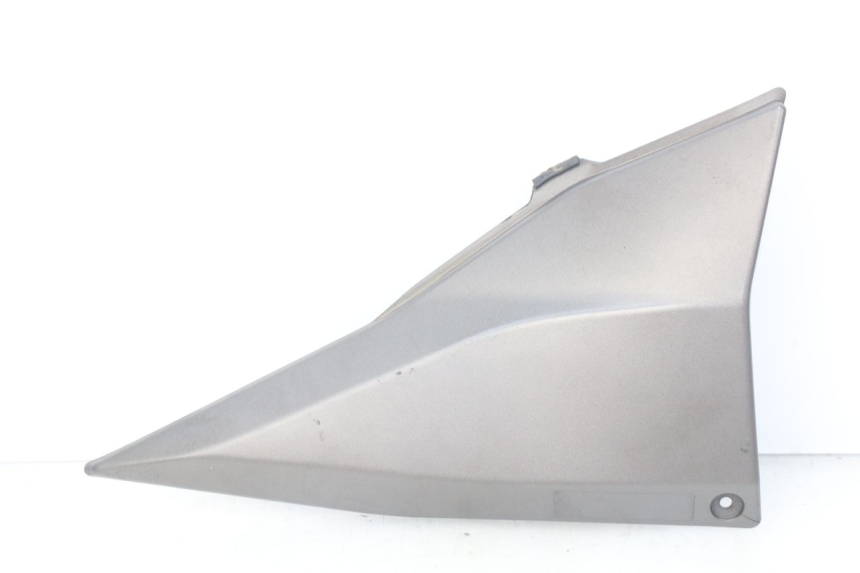 photo de RECHTER SITZBANKDECKEL KAWASAKI Z S 750 (2003 - 2006) - Hauptansicht