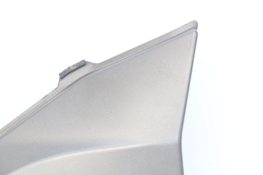 photo de RECHTER SITZBANKDECKEL KAWASAKI Z S 750 (2003 - 2006) - Gesamtansicht des Produkts