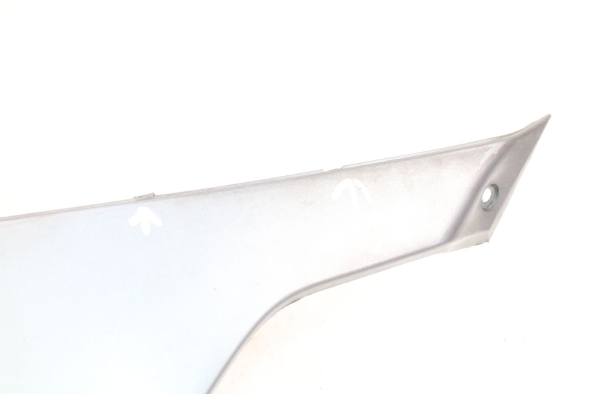 photo de LINKS UNTER DEM LINKEN SITZ BMW C1 125 (2000 - 2003) - Oberflächenzustand und Material