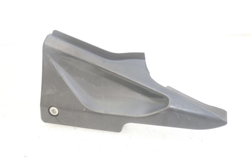 photo de LINKS UNTER DEM LINKEN SITZ DAELIM VJ ROADWIN FI 125 (2008 - 2017) - Hauptansicht