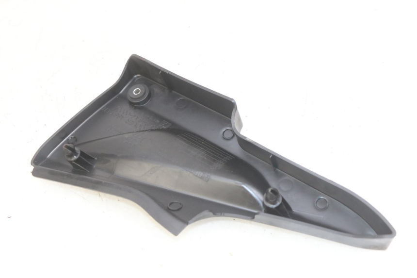 photo de LINKS UNTER DEM LINKEN SITZ DAELIM VJ ROADWIN FI 125 (2008 - 2017) - Alternative Perspektive