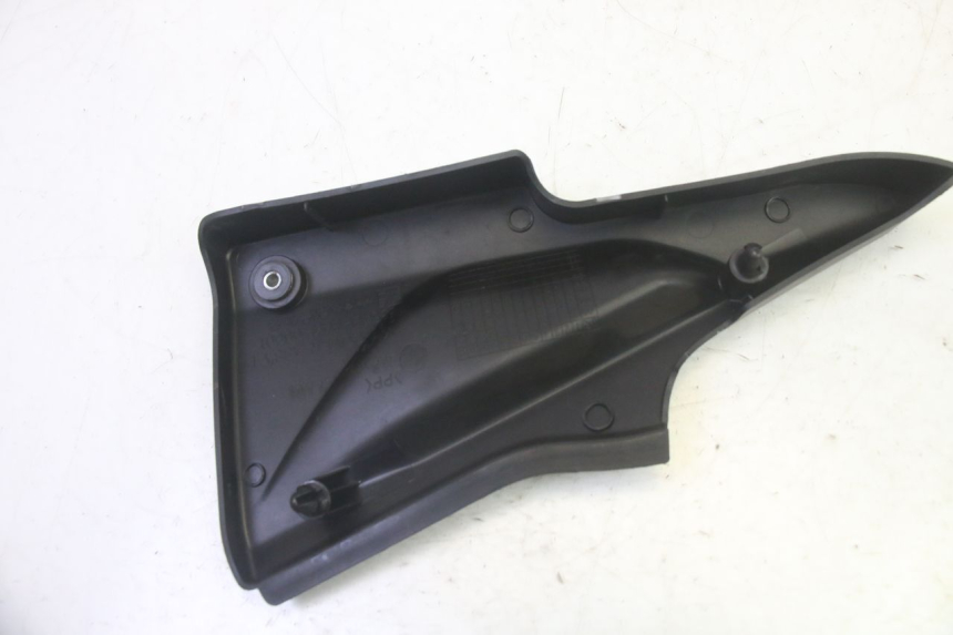 photo de LINKS UNTER DEM LINKEN SITZ DAELIM VJ ROADWIN FI 125 (2008 - 2017) - Alternative Perspektive