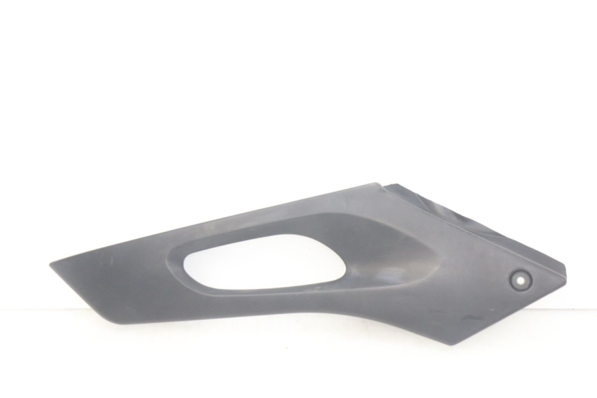 photo de LINKS UNTER DEM LINKEN SITZ SUZUKI XF FREEWIND 650 (1997 - 2003) - Hauptansicht