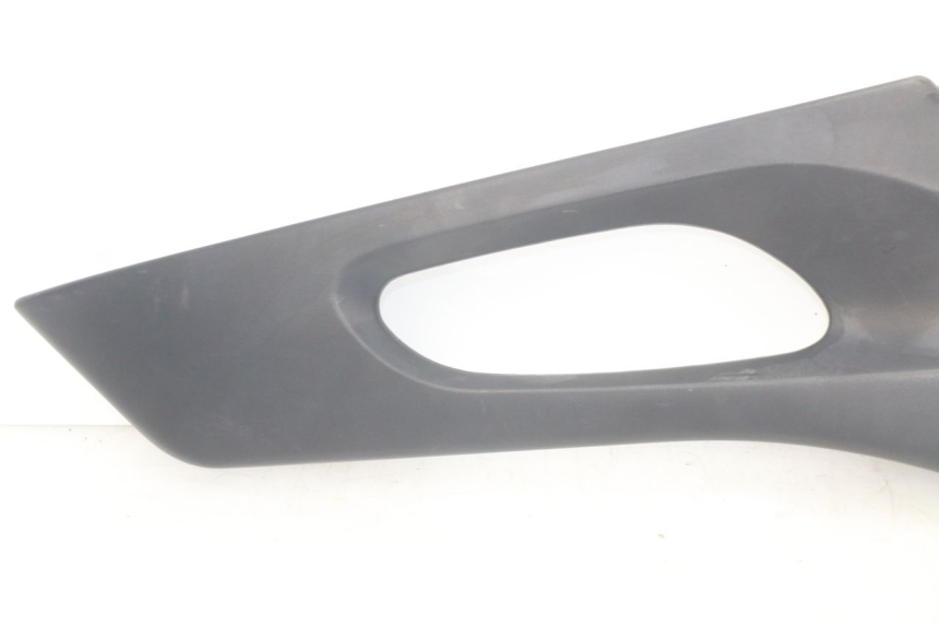 photo de LINKS UNTER DEM LINKEN SITZ SUZUKI XF FREEWIND 650 (1997 - 2003) - Gesamtansicht des Produkts