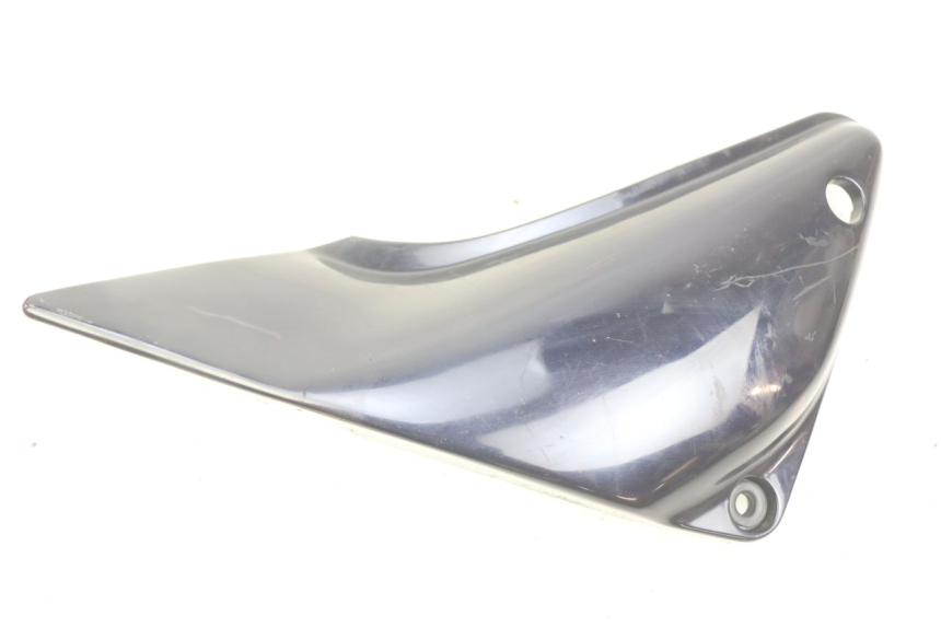 photo de LINKS UNTER DEM LINKEN SITZ KAWASAKI ZEPHYR 1100 ( - 1995) - Alternative Perspektive