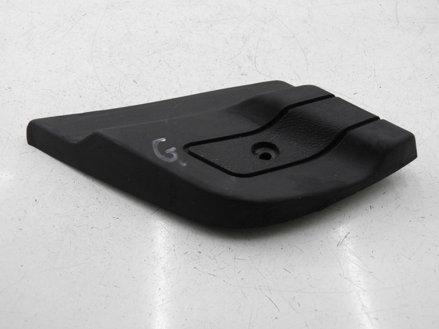 photo de FUSSRASTEN HINTEN LINKS PIAGGIO X9 EVOLUTION 125 (2003 - 2007) - Hauptansicht