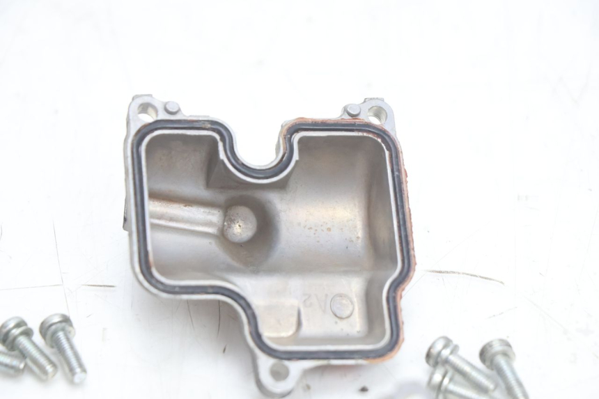photo de VERGASER HONDA CB F HORNET 600 (2005 - 2006) - Fokus auf die Struktur