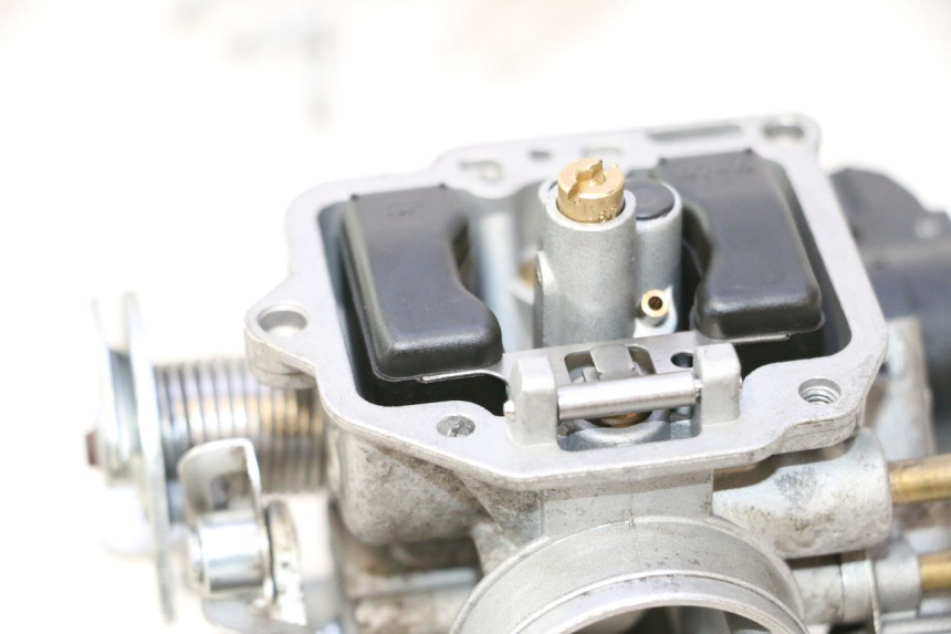 photo de VERGASER JM MOTORS EVOLIS 4T 50 (2018 - 2022) - Profilansicht des Ersatzteils