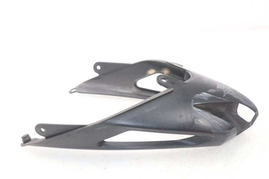 photo de HECKVERKLEIDUNG MV AGUSTA BRUTALE R WALLY 910 (2008 - 2008) - Hauptansicht