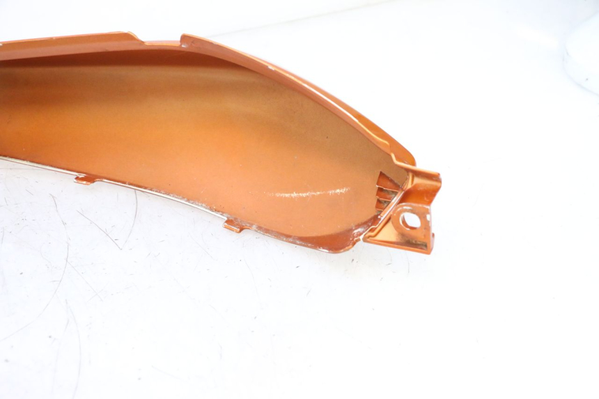 photo de HECKVERKLEIDUNG HONDA CB F HORNET 600 (2005 - 2006) - Charakteristische Merkmale