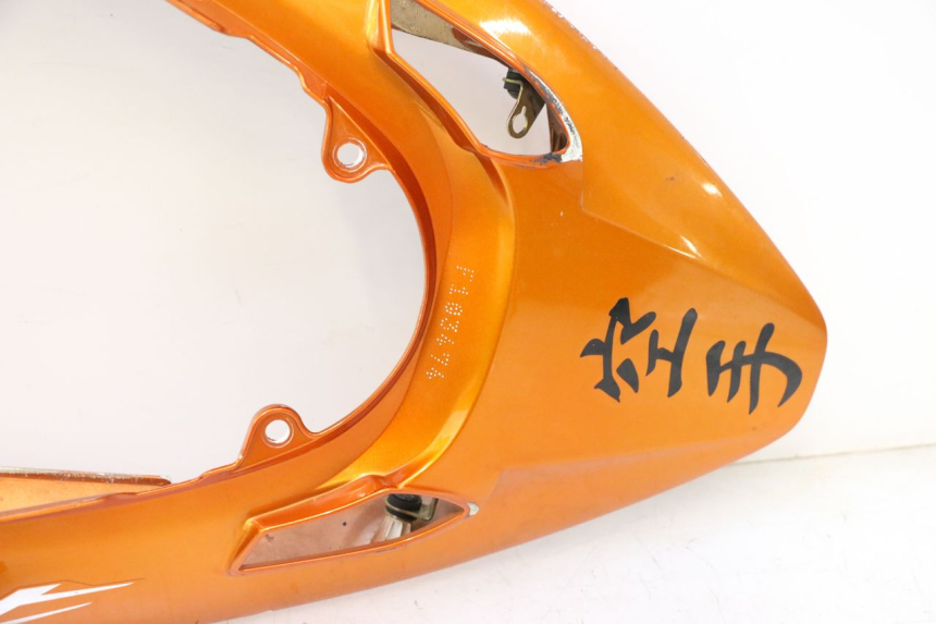 photo de HECKVERKLEIDUNG HONDA CB F HORNET 600 (2005 - 2006) - Profilansicht des Ersatzteils