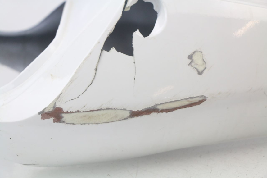 photo de HECKVERKLEIDUNG HONDA CBR 929 RR FIREBLADE 900 (2000 - 2001) - Charakteristische Merkmale