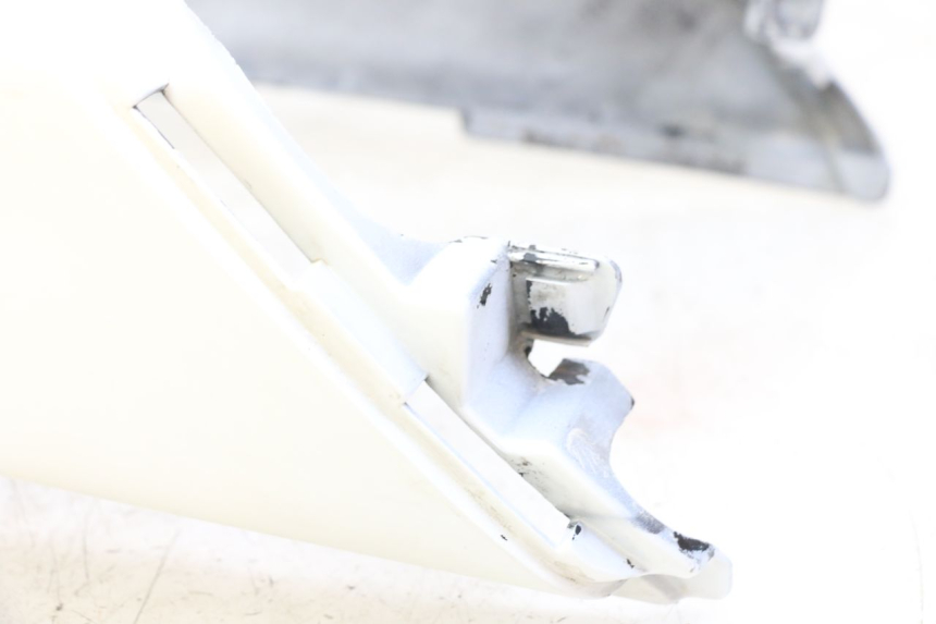 photo de HECKVERKLEIDUNG HONDA CBR F 1000 (1993 - 1996) - Alternative Perspektive