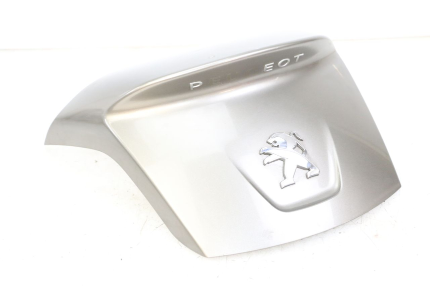 photo de HECKVERKLEIDUNG PEUGEOT SATELIS 125 (2013 - 2018) - Hauptansicht