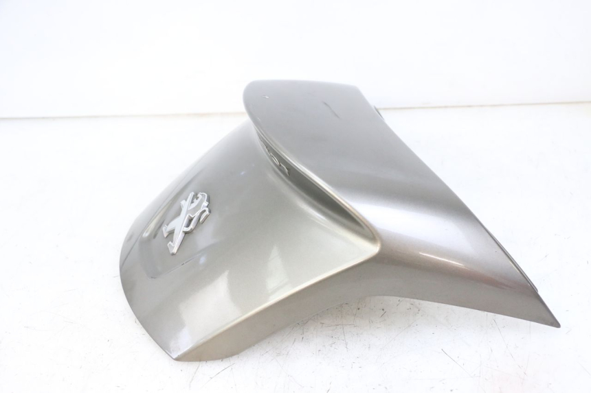 photo de HECKVERKLEIDUNG PEUGEOT SATELIS 125 (2013 - 2018) - Gesamtansicht des Produkts