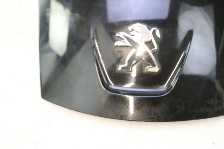 photo de HECKVERKLEIDUNG PEUGEOT SATELIS 125 (2013 - 2018) - Oberflächenzustand und Material