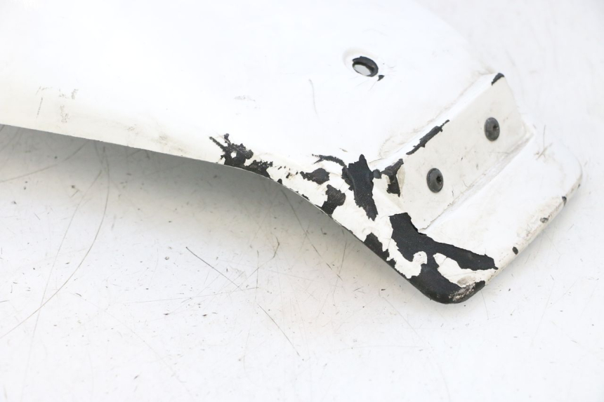 photo de HECKVERKLEIDUNG PEUGEOT TREKKER 50 (1995 - 2004) - Oberflächenzustand und Material