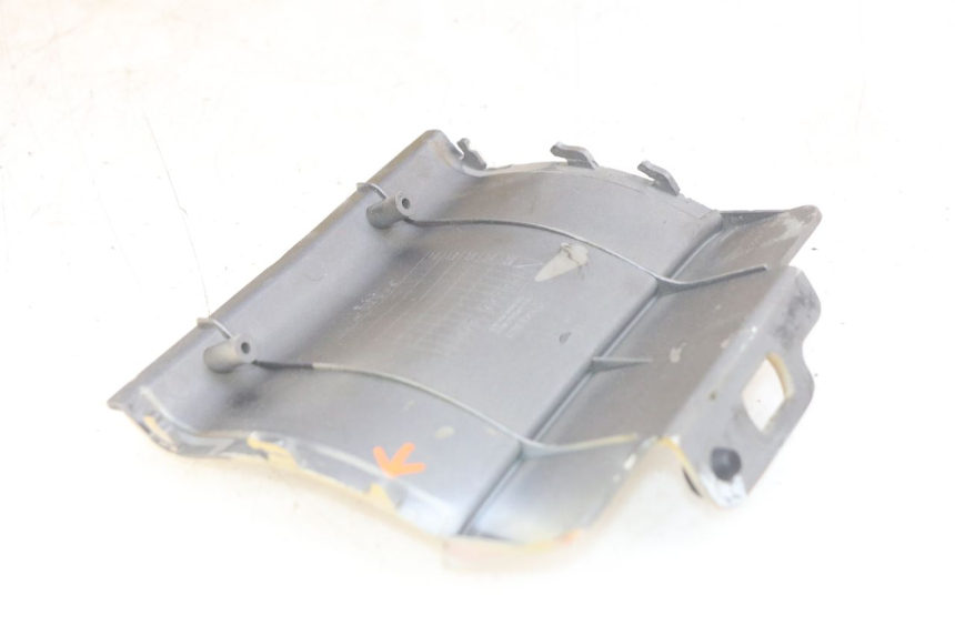 photo de HECKVERKLEIDUNG DAELIM VJ ROADWIN FI 125 (2008 - 2017) - Fokus auf die Struktur