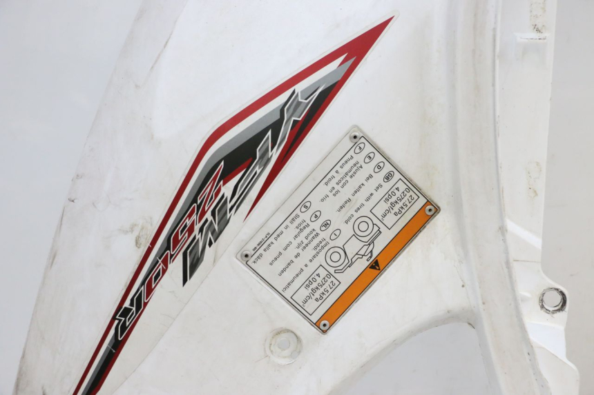 photo de HECKVERKLEIDUNG YAMAHA YFM R RAPTOR 250 (2008 - 2014) - Alternative Perspektive