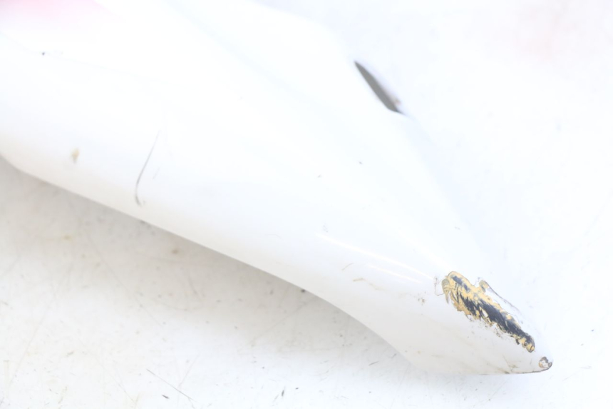 photo de HECKVERKLEIDUNG YAMAHA YZF R THUNDERCAT 600 (1996 - 2003) - Kennzeichnungen und Originalreferenzen