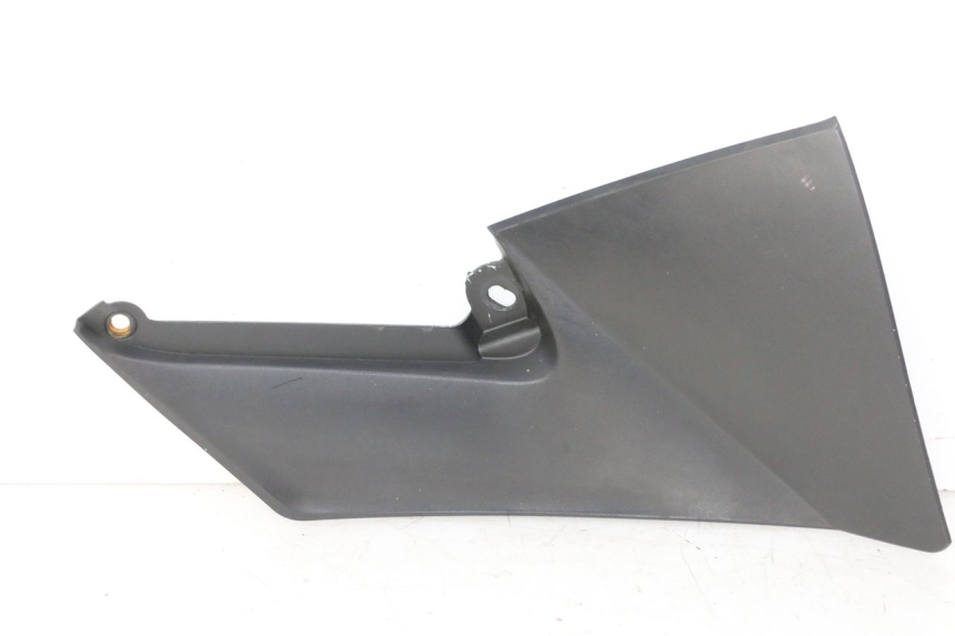 photo de TANK VERKLEIDUNG RECHTE MAG POWER R-STREET 50 (2016 - 2025) - Hauptansicht