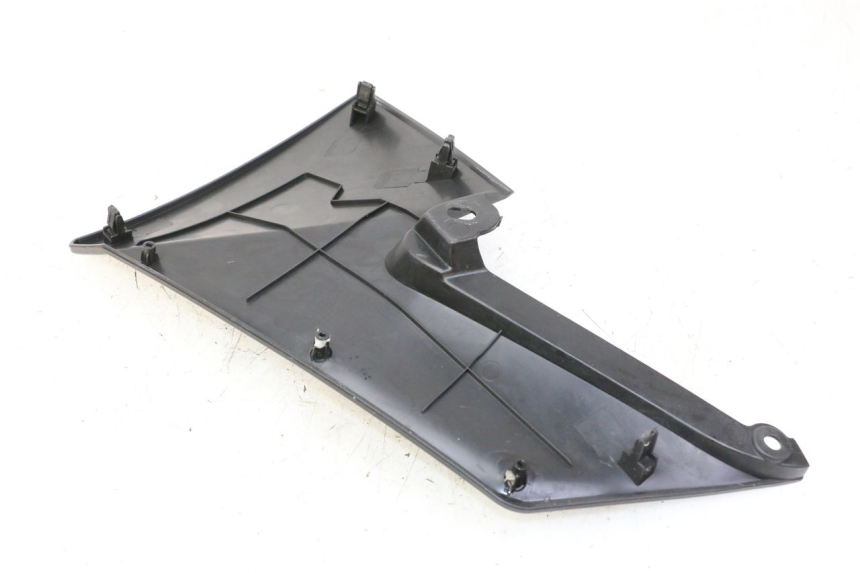 photo de TANK VERKLEIDUNG RECHTE MAG POWER R-STREET 50 (2016 - 2025) - Alternative Perspektive