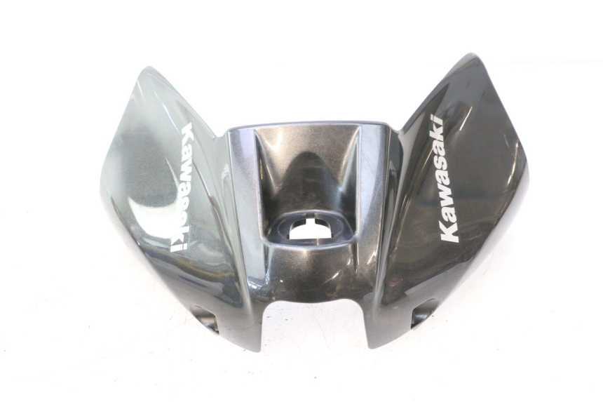 photo de TANKVERKLEIDUNG KAWASAKI ER-6 ER6 F ABS 650 (2012 - 2016) - Hauptansicht