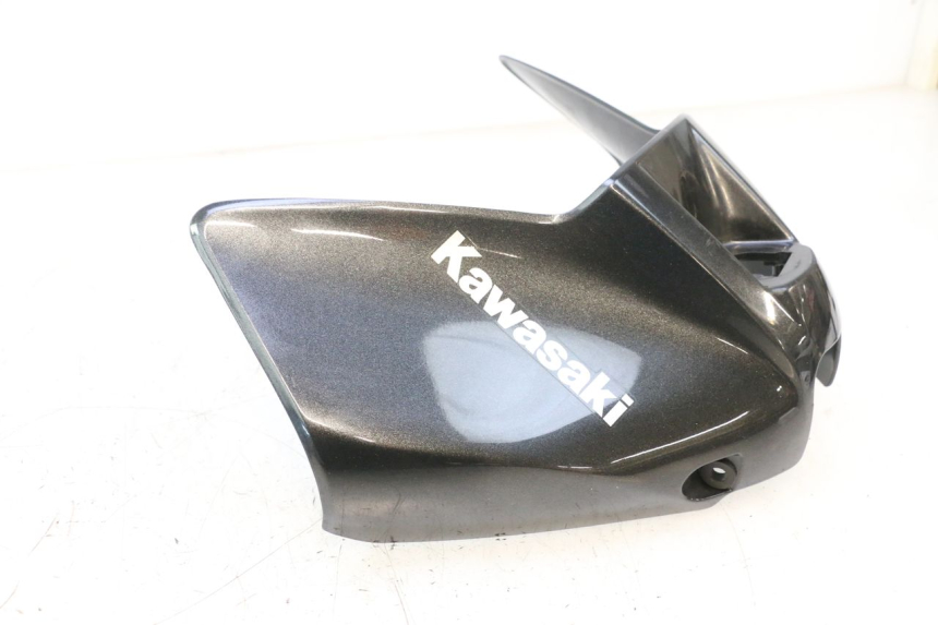 photo de TANKVERKLEIDUNG KAWASAKI ER-6 ER6 F ABS 650 (2012 - 2016) - Zoom auf Gebrauchszustand