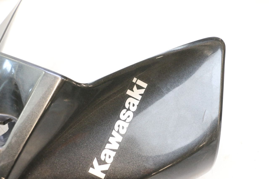 photo de TANKVERKLEIDUNG KAWASAKI ER-6 ER6 F ABS 650 (2012 - 2016) - Alternative Perspektive